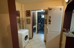 Apartament 2 camere decomandat, 50 mp, Rovine, zona Tudor Arghezi