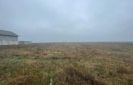 Teren intravilan Isalnita 5000 mp cu deschidere de 25 ml