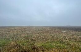 Teren intravilan Isalnita 5000 mp cu deschidere de 25 ml