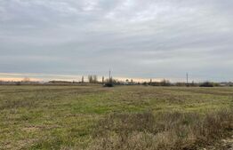 Teren intravilan Balta Verde (Podari) 2192 mp