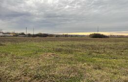 Teren intravilan Balta Verde (Podari) 2192 mp