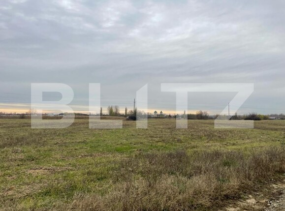 Teren de vânzare Balta Verde - 131903TV | BLITZ Craiova | Poza2