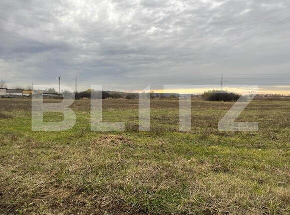 Teren de vânzare Balta Verde - 131903TV | BLITZ Craiova | Poza1