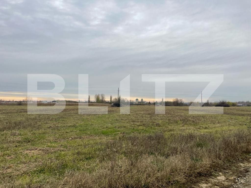 Teren de vânzare Balta Verde - 131903TV | BLITZ Craiova | Poza2