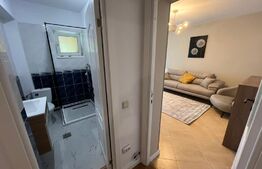 Apartament de 3 camere cu curte privata de 100mp 