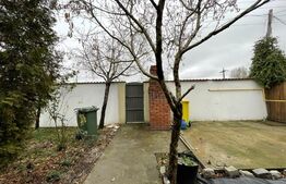 Casa moderna Catargiu cu toate utilitatile 132 mp, 274 mp teren