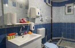 Casa moderna Catargiu cu toate utilitatile 132 mp, 274 mp teren