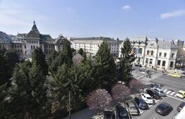 Apartament 2 camere Casa Alba