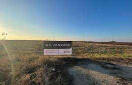 Teren intravilan 10.000 mp Isalnita cu toate utilitatile