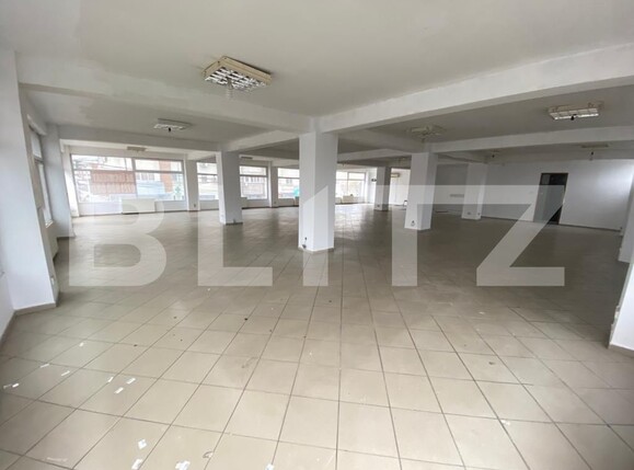Spațiu comercial de închiriat Filiaşi - 132339SIC | BLITZ Craiova | Poza3