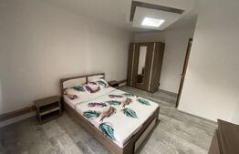 Apartament cu 2 dormitoare, centrala termica, aer conditionat, zona Billa