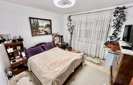 Apartament decomandat, 2 camere, 50mp - Gata de Mutat, în Brazdă, zona Consul!