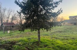 Teren intravilan 4078mp cu deschidere  44 ml la E79 