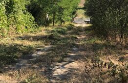 Teren intravilan 4078mp cu deschidere  44 ml la E79 