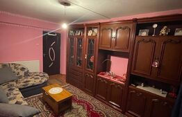 Apartament 2 camere, 42 mp, Brestei