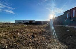 Teren intravilan 900 mp, cu proiect hala, Carcea/Metro