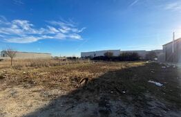 Teren intravilan 900 mp, cu proiect hala, Carcea/Metro