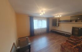 Casă  de vanzare/ comuna Radovan