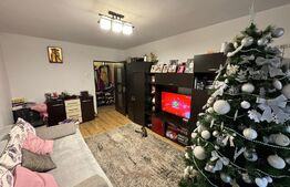 Apartament 2 camere decomandat, zona Gradina Botanica