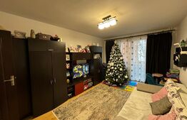 Apartament 2 camere decomandat, zona Gradina Botanica