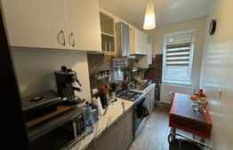 Apartament 2 camere decomandat, zona Gradina Botanica