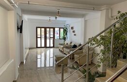 Casă 7 camere cu potențial hotelier/business,221mp,zona Calea Severinului 