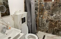 Casă 7 camere cu potențial hotelier/business,221mp,zona Calea Severinului 