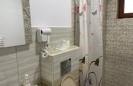 Casă 7 camere cu potențial hotelier/business,221mp,zona Calea Severinului 