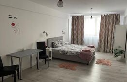 Casă 7 camere cu potențial hotelier/business,221mp,zona Calea Severinului 