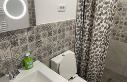 Casă 7 camere cu potențial hotelier/business,221mp,zona Calea Severinului 