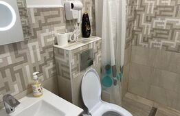 Casă 7 camere cu potențial hotelier/business,221mp,zona Calea Severinului 