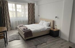 Casă 7 camere cu potențial hotelier/business,221mp,zona Calea Severinului 