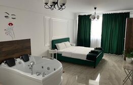 Casă 7 camere cu potențial hotelier/business,221mp,zona Calea Severinului 