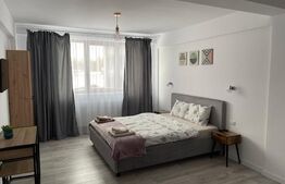 Casă 7 camere cu potențial hotelier/business,221mp,zona Calea Severinului 