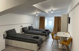 Casă 7 camere cu potențial hotelier/business,221mp,zona Calea Severinului 