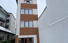 Casă 7 camere cu potențial hotelier/business,221mp,zona Calea Severinului 