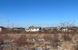 Teren intravilan 500mp, Aleea 1 Simnic