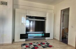 Apartament cu 2 camere, bloc nou, Calea Severinului