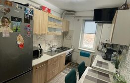 Apartament 3 camere, 60 mp, Brazda lui Novac, zona Guliver