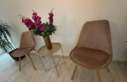 Camera tip salon pentru Masaj, zona Ultracentrala