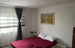 Casă în plan parter, cu teren aferent de 4474mp, situată în Goiești Dolj