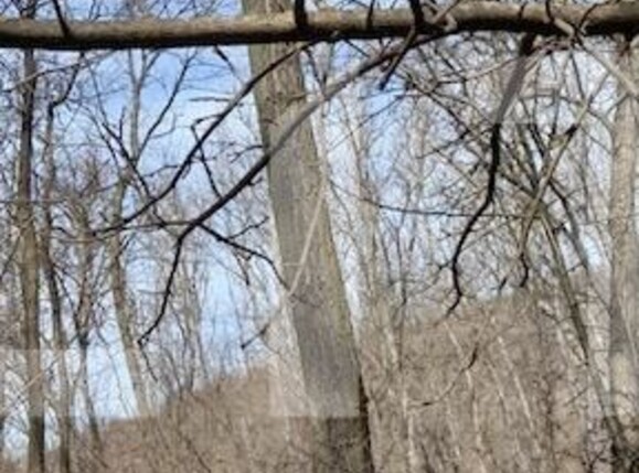 Casa de vânzare 4 camere Exterior  Nord - 133602CV | BLITZ Craiova | Poza12