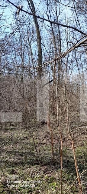 Casa de vânzare 4 camere Exterior  Nord - 133602CV | BLITZ Craiova | Poza11