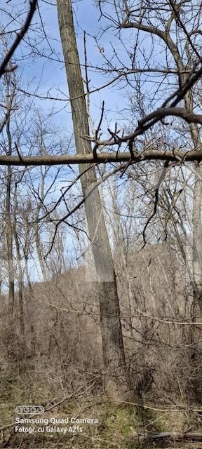 Casa de vânzare 4 camere Exterior  Nord - 133602CV | BLITZ Craiova | Poza12