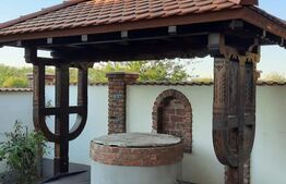 Exclusivitate, comision 0%! Casa boiereasca de vacanta la Diosti cu teren de 3300 mp