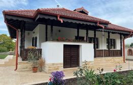 Exclusivitate, comision 0%! Casa boiereasca de vacanta la Diosti cu teren de 3300 mp