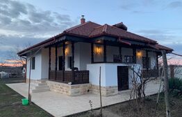 Exclusivitate, comision 0%! Casa boiereasca de vacanta la Diosti cu teren de 3300 mp