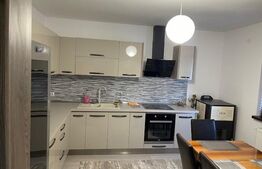 Casă nouă parter, modern utilată și finisată, situată în zona ANL Romanescu