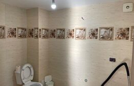 Casă P+M,131mp , situată în Pielești, zona giratoriu Peugeot