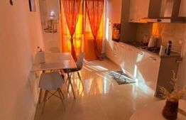 Apartament 2 camere, 42 mp utili ,curte de 100 mp, cartier Magnolia